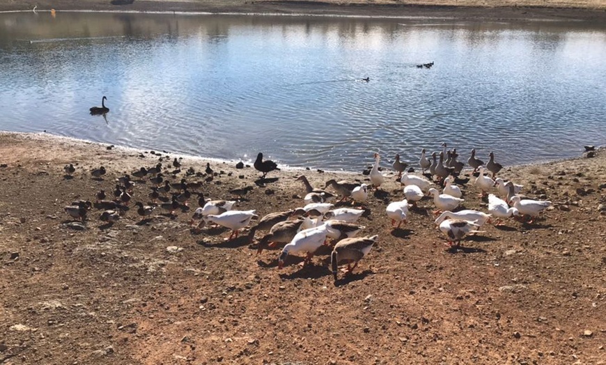 Image 20: Hasta 56% de dto. en CENTRO ANDALUZ DE LA FAUNA SALVAJE