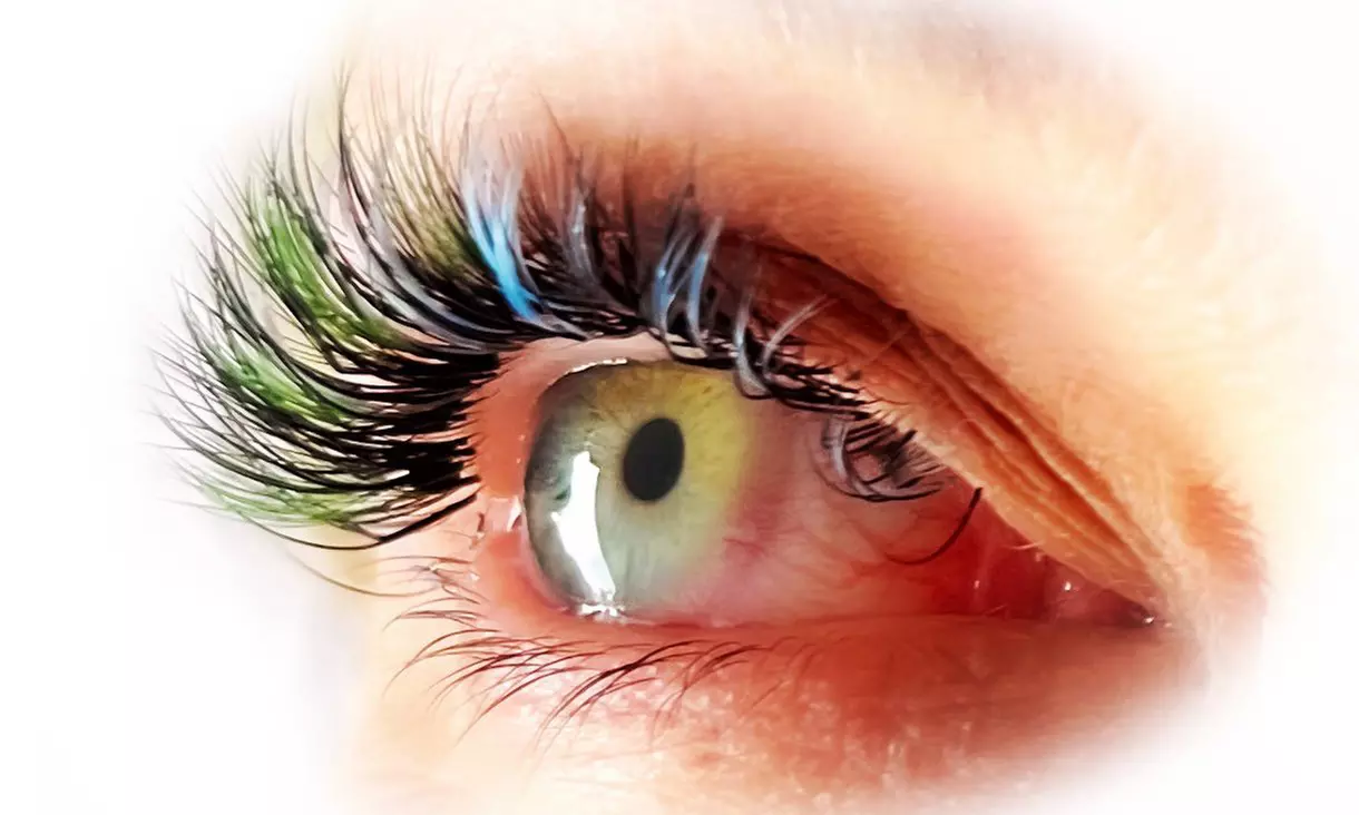 Traumhafte Wimpern: Wimpernverlängerung in der 2D - 5D Technik im Artstudio an der Alster (bis zu 75% sparen) - Primary Image