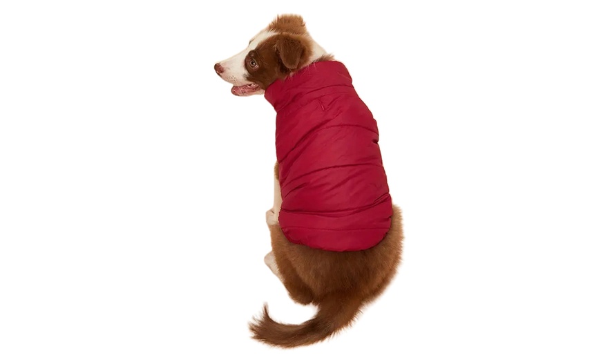 Image 4: Warm Lined Dog Coat Winter Jacket