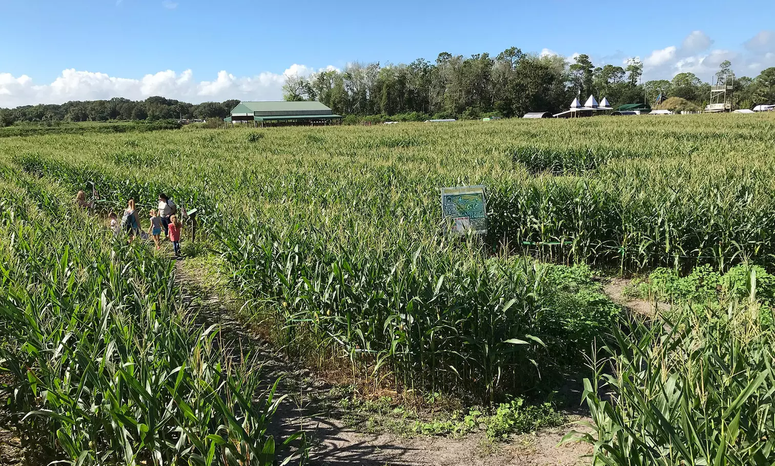 Corn Maze and Hay Rides for Two, Four, and Six at Scott’s Maze Adventures at Long & Scott Farms (Up to 50% Off) - Second Medium