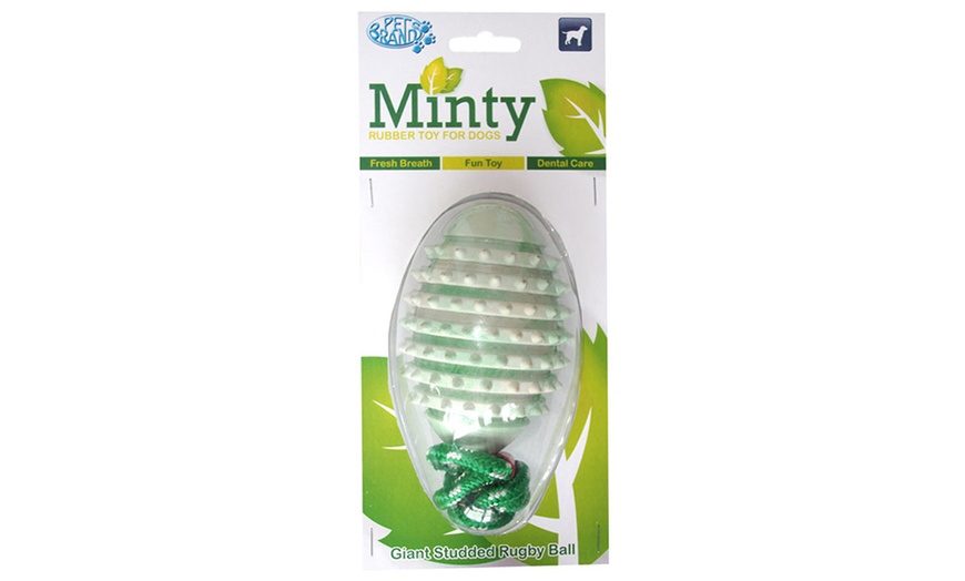 Image 2: Minty Rubber Toys for Dogs 