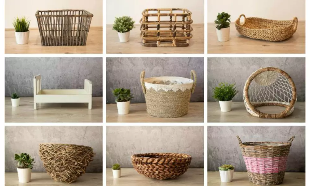 One-Hour Photoshoot Experience