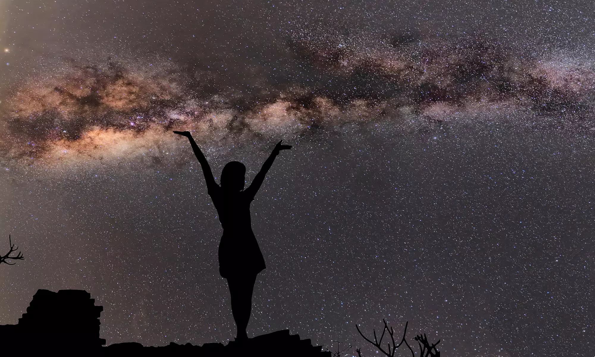 Auswertung eines Horoskops nach Wahl bei der Lebensberatung Bee (bis zu 58% sparen*) - Primary Image