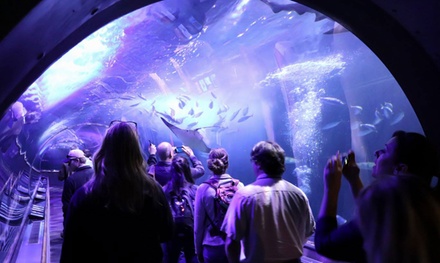 General Admission for One Child - Aquarium of the Bay