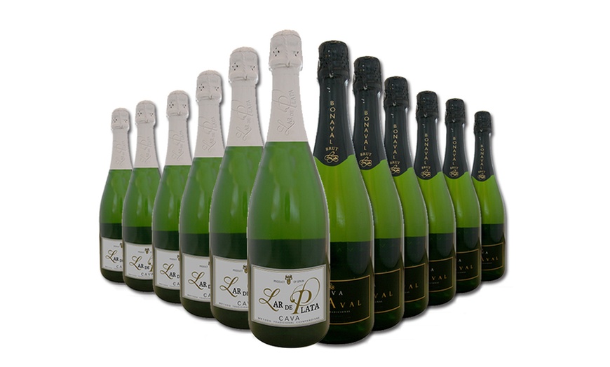 Image 1: 12 Bottles of Cava Brut