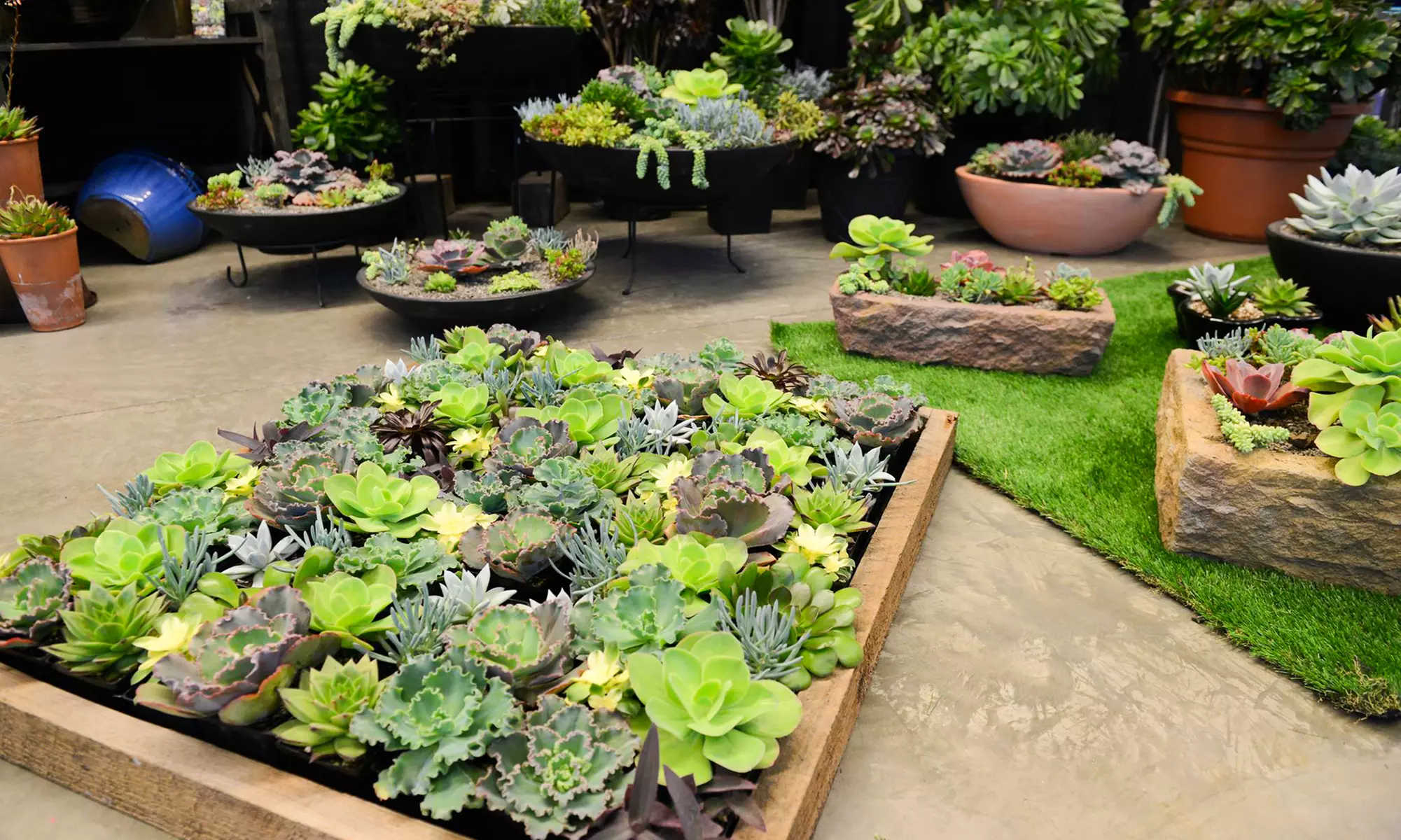 C$13 for Admission for 2 at the Ottawa Home + Garden Show on March 22-25, 2018 (C$26 Value)  - Primary Image