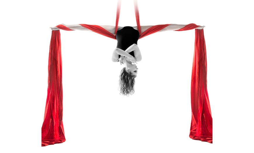 Image 1: 3, 5 ou 10 cours d'aerial arts 