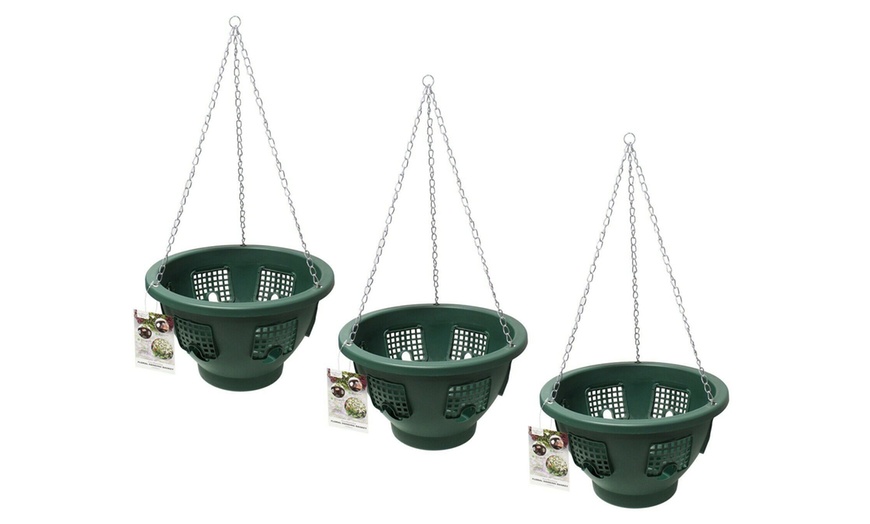 Image 6: Two, Three or Four Flower Bloom Hanging Baskets