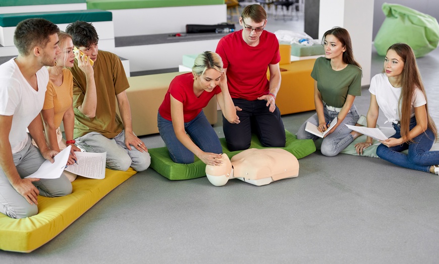 Image 1: First Aid Online Course Bundle