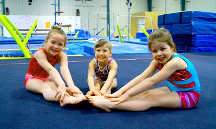 Gymnastics or Cheer Classes - World of Gymnastics and Cheer | Groupon