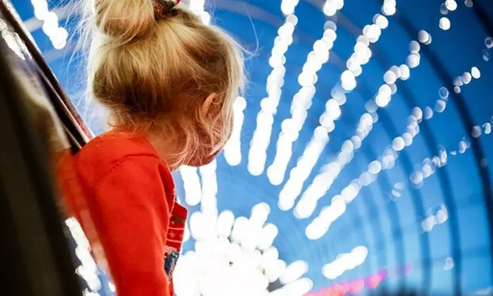 Take Your Loved Ones for a Magical Illuminated Holiday Drive-Through - Second Medium