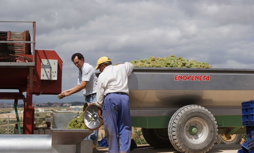 Image 17: Visita y cata a bodega y viñedos