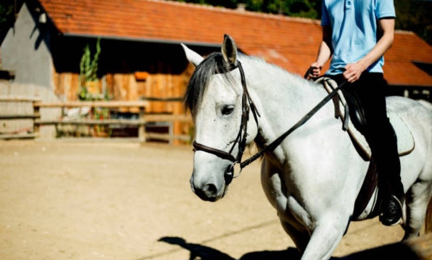 Image 5: ✦ 3 o 5 clases de hípica en La Finca Pony Club