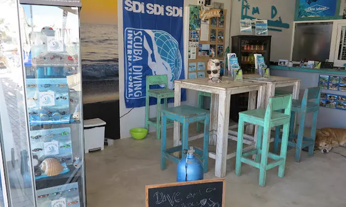 Practica el deporte de moda con un servicio de alquiler de paddle surf