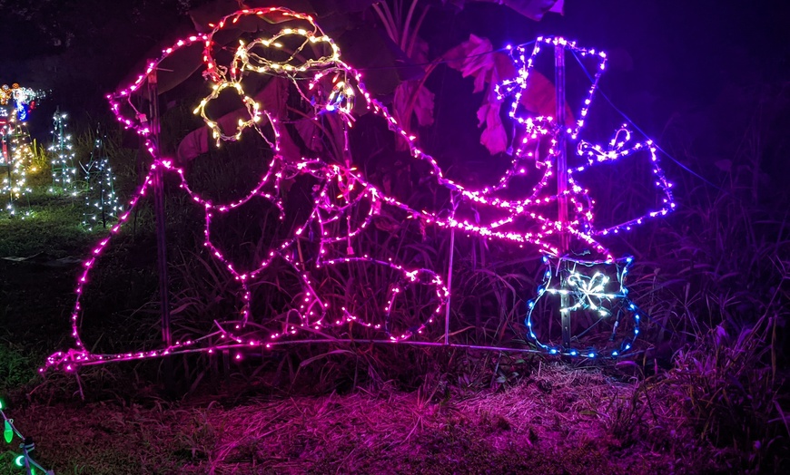 Image 8: Nights Of Shimmering Lights Winter Walk-Thru Show