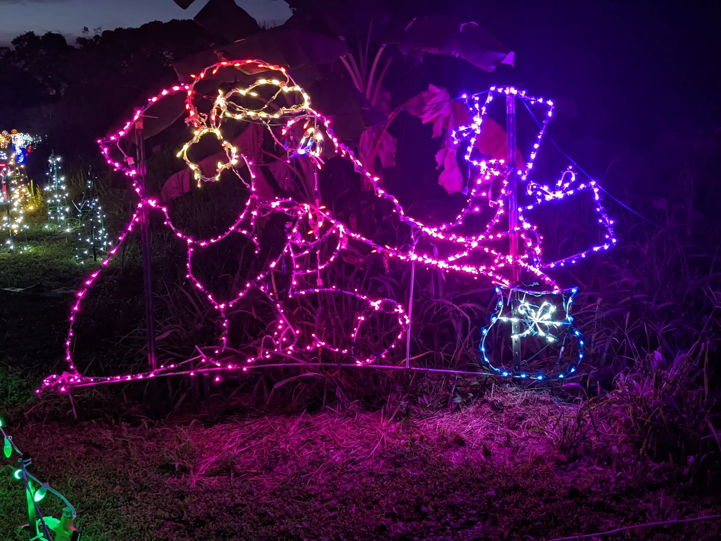 Nights Of Shimmering Lights Winter Walk-Thru Show