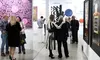Attend the Spectrum Miami Art Fair, a One-of-a-Kind Event in Florida: Live Demonstrations, Art Talks & Meet the Artists