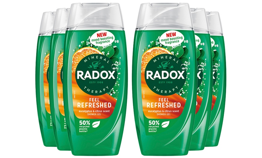 Image 17: Radox Mineral Therapy Shower Gel with Mood-Boosting Fragrance