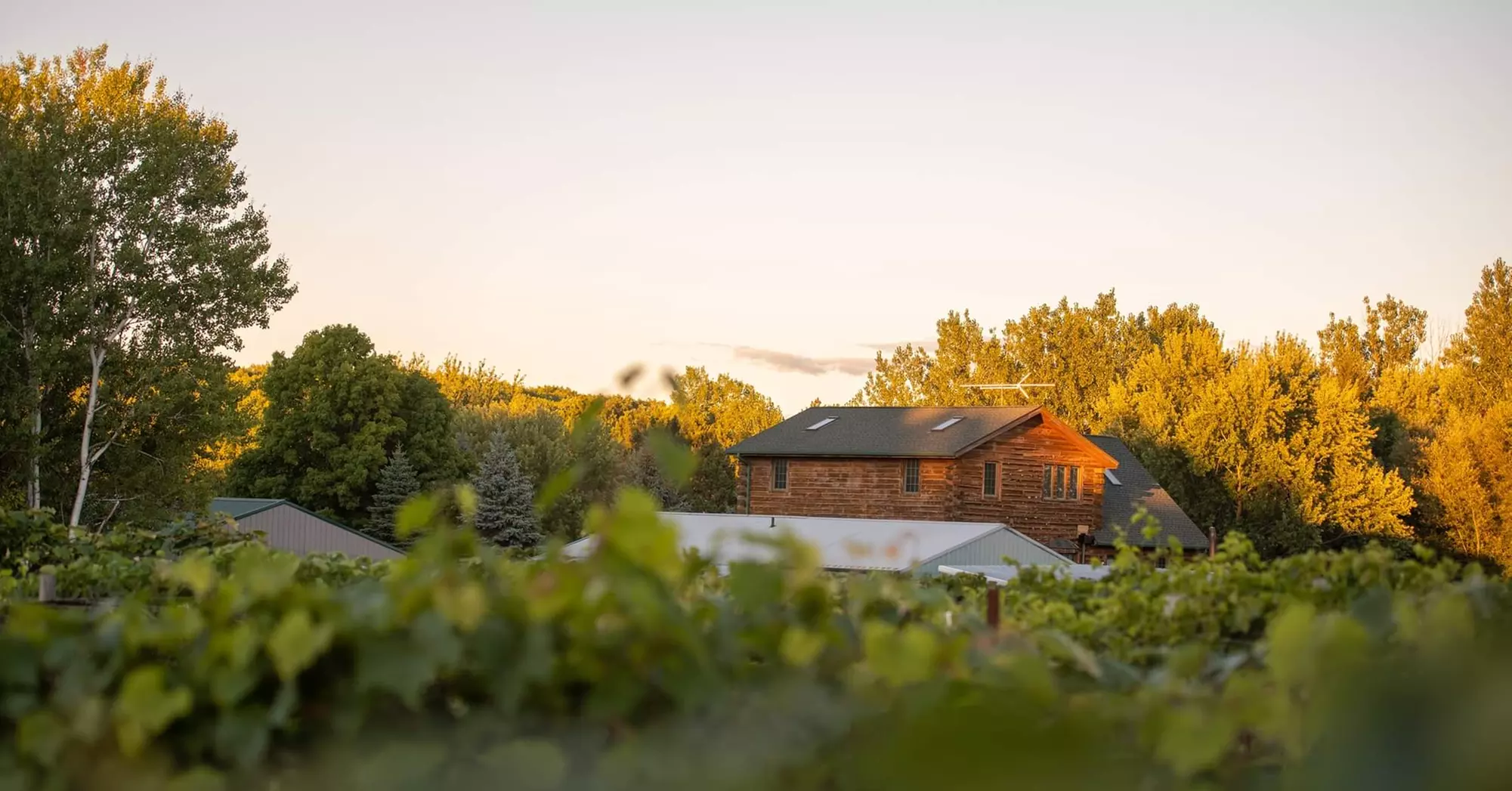 Wine Tasting Experience for Two with Bread and Dipping Oil at North Ridge Winery (Up to 20% Off) - Second Medium