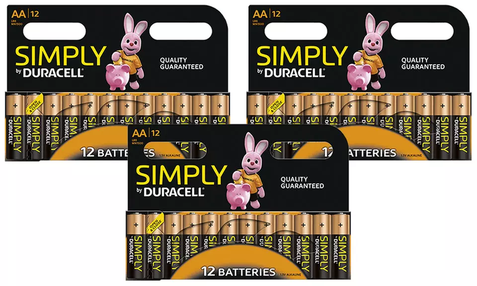 AA or AAA Duracell Batteries