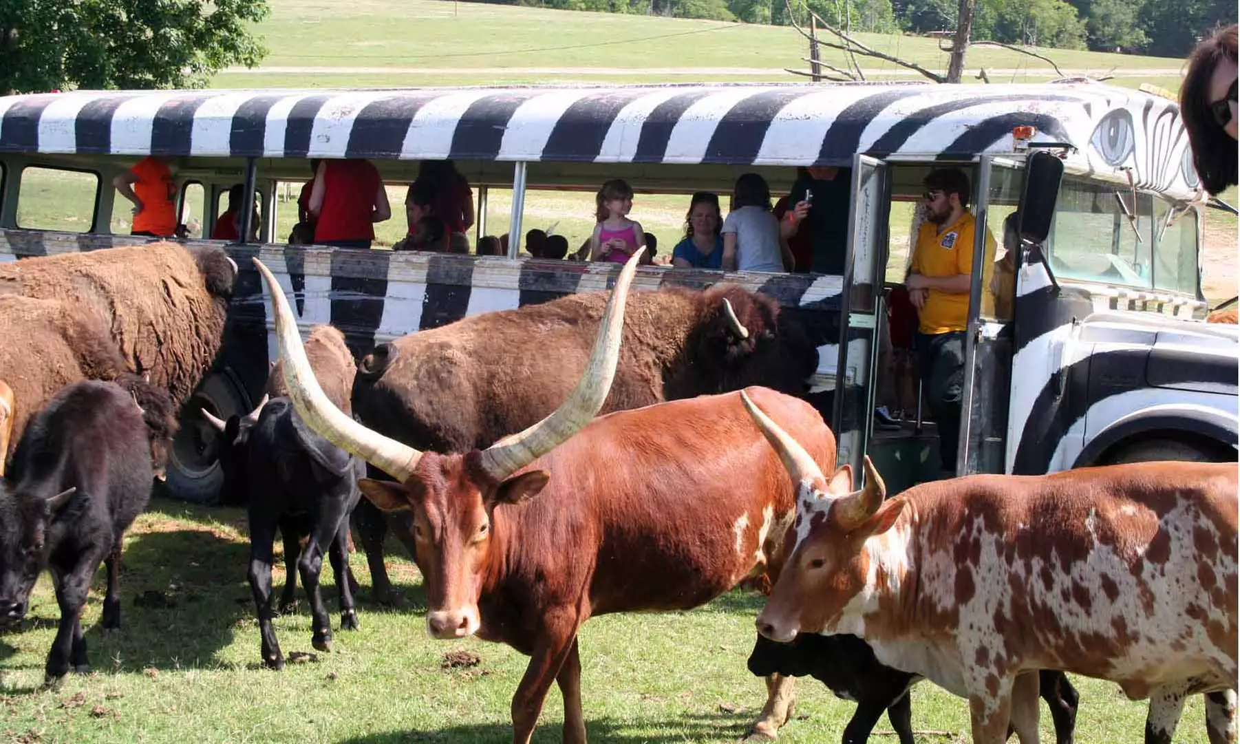 Admission for Two Adults or Two Adults and Two Kids to Hollywild Animal Park (38% Off) - Second Medium