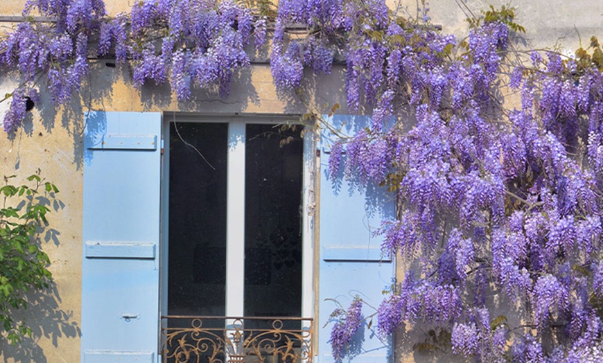 Willemse à - Paris | Groupon