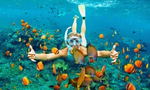 Bali: Blue Lagoon Padang Bai Snorkelling Trip