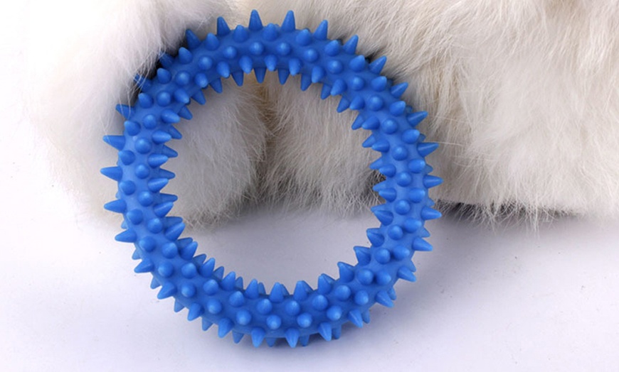 Image 4: Rubber Chew Toy