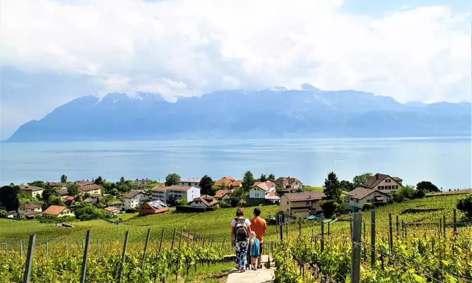Capriolo: camera, colazione, visita alla cantina e degustazione