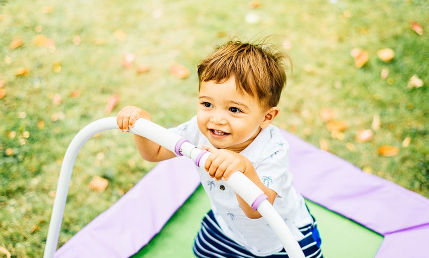 Image 4: Plum Trampolines