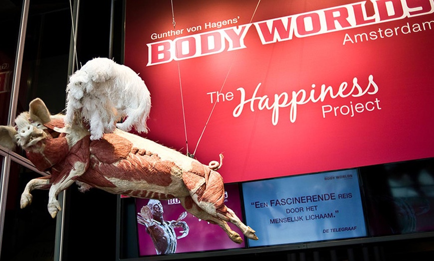 Image 8: Tickets BODY WORLDS Amsterdam