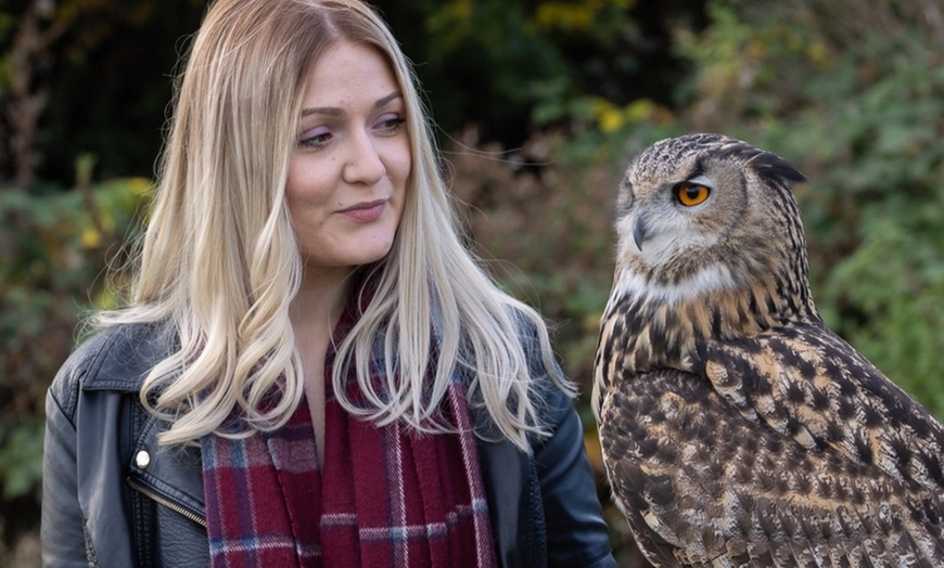 Image 6: Up to 41% Off on Falconry - Recreational at The North Somerset Bird Of Prey Centre