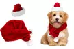 Vêtements de Père Noël pour chien de petite taille - Second Medium