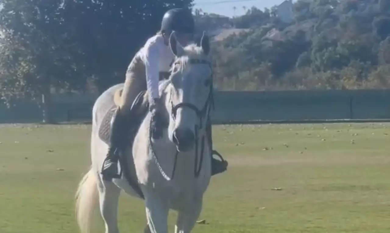 One or Two 60-Minute Horseback Riding Lessons; Master Equestrian Skills at Kambridge Training Stables - Second Medium