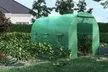 Serre de jardin maraîchère renforcée de 2,26 m² à 24 m² - Second Medium