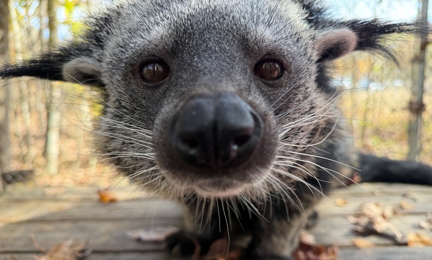 Image 7: Up to 42% Off Wildlife Adventure Tours at Animal Park