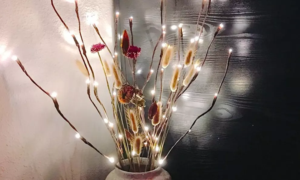 Lots de 1, 2 ou 3 branches lumineuses de saule avec 20 ampoules Led - Primary Image