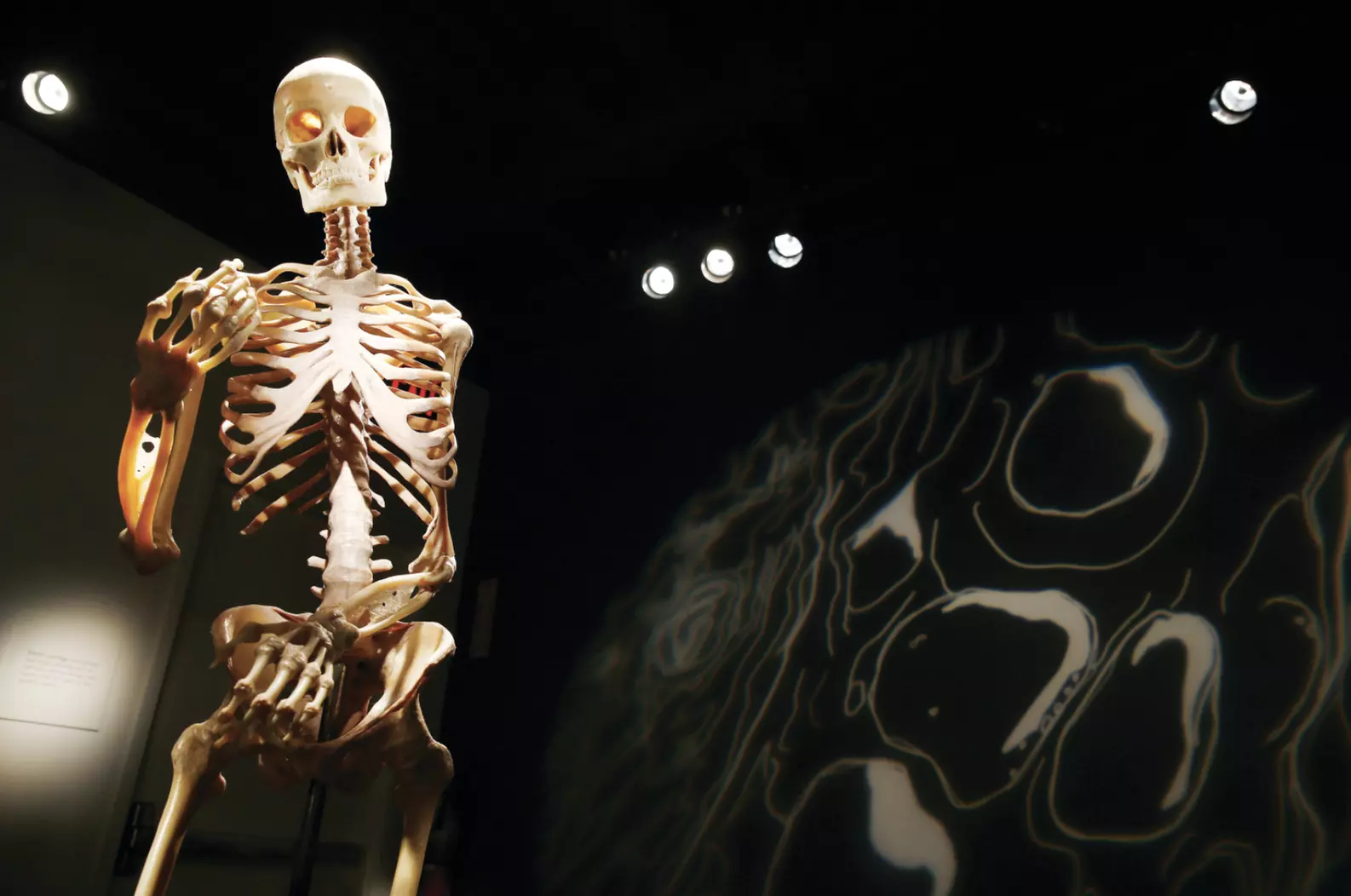 *Flash Sale* Bodies the Exhibition at Luxor - GA Attraction Tickets