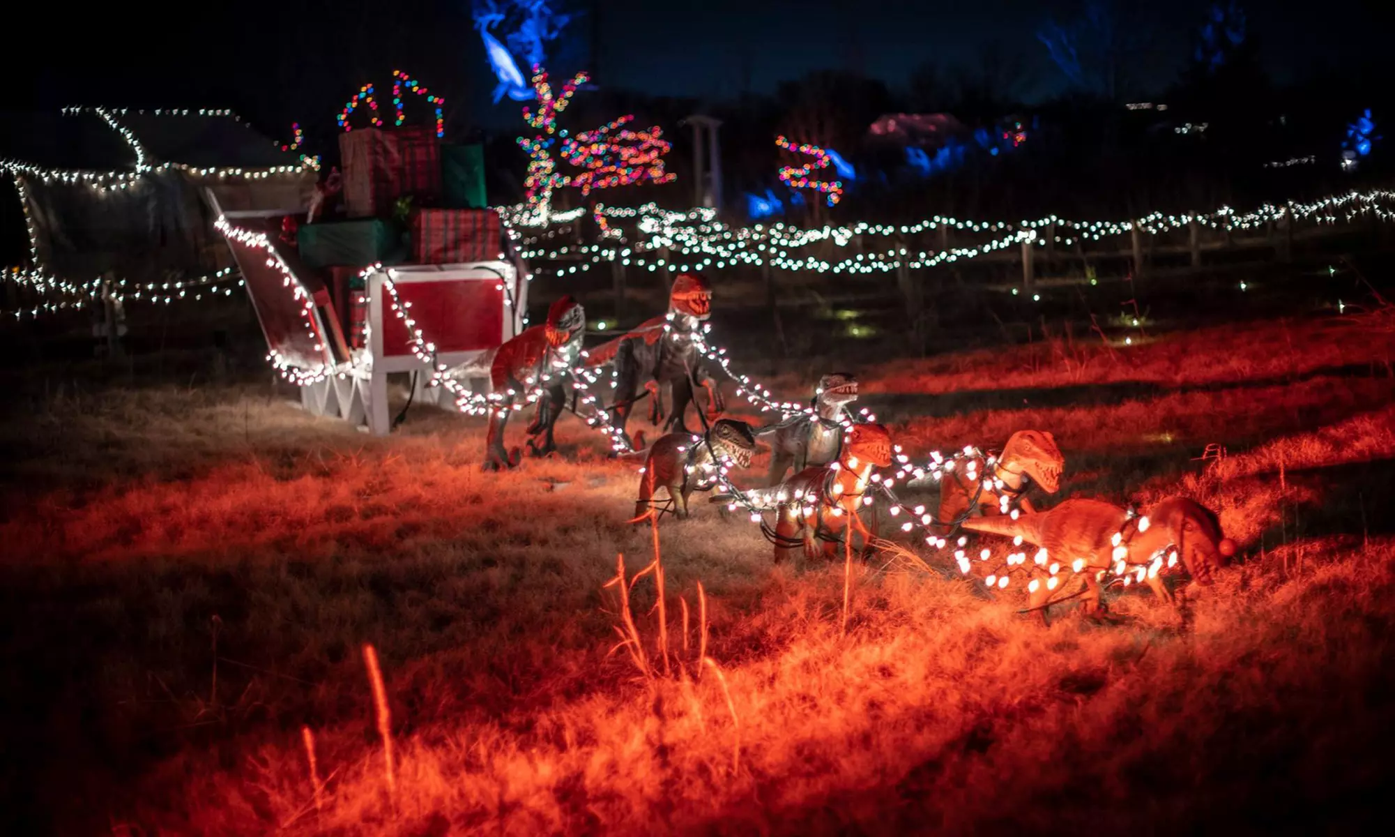 Holly Jolly Jurassic Holiday (Nov. 26 – December 31) at Field Station: Dinosaurs (Up to 30% Off) - Primary Image