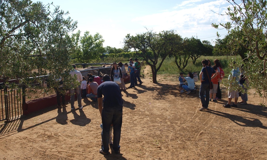 Image 3: Visita a granjaescuela