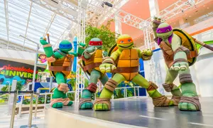 Nickelodeon Universe Theme Park: Thrills for All Ages – American Dream