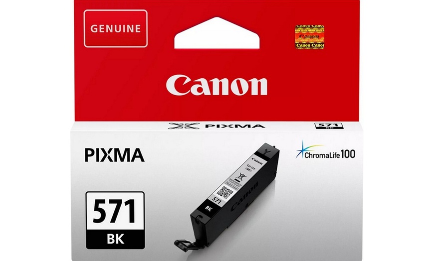 Image 6: Canon Ink Cartridges