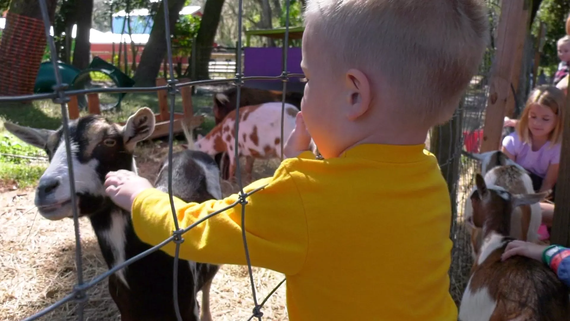 Country Christmas at HarvestMoon Fun Farm - Holiday Family Fun