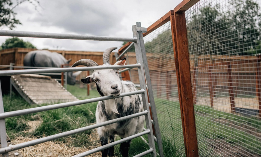 Image 11: Zoo Entry at Maldon Promenade Zoo