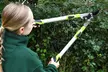 Garden Gear Tools - Telescopic Hedge Hears, Bypass and Anvil Loppers - Image 5