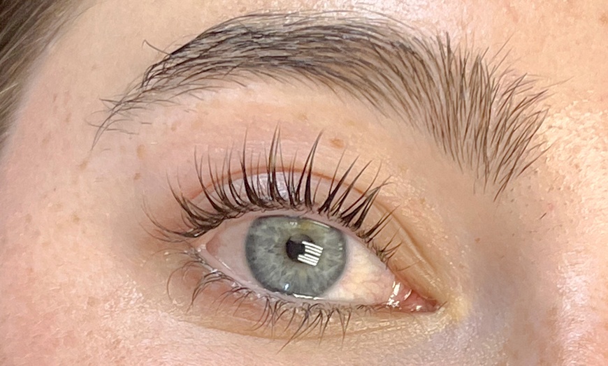 Image 4: Get Bold: Classic Individual Eyelash Extensions or Lash Lift and Tint