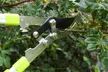 Garden Gear Tools - Telescopic Hedge Hears, Bypass and Anvil Loppers - Image 6