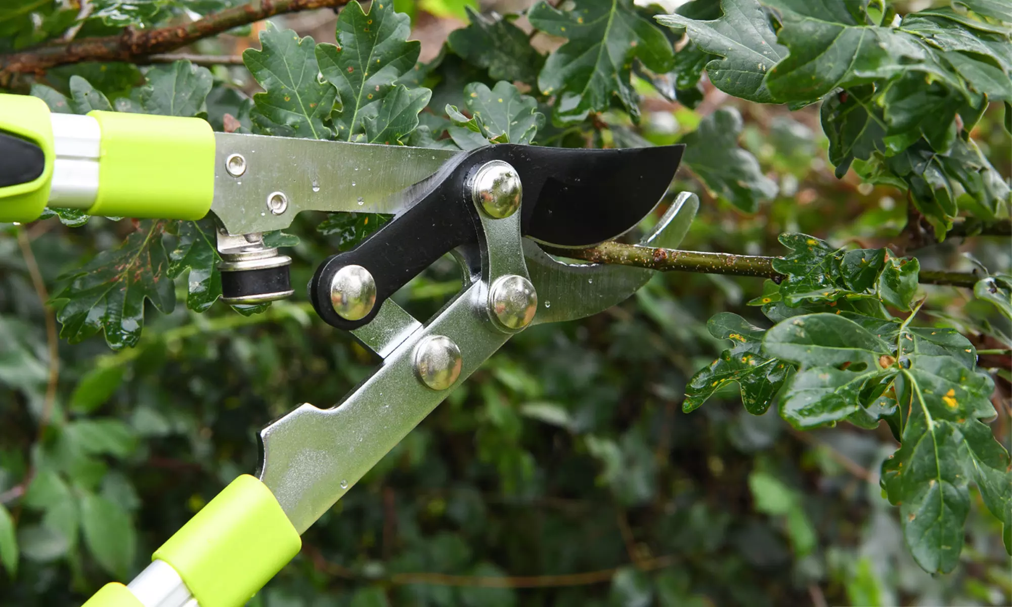 Garden Gear Tools - Telescopic Hedge Hears, Bypass and Anvil Loppers
