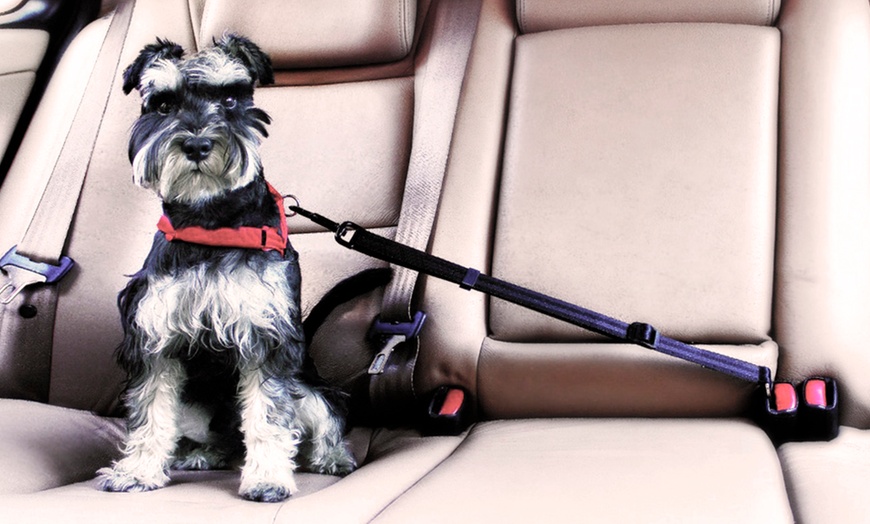 Image 1: Universal Pet Seat Belt Restraint