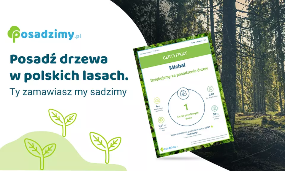 Posadzenie 5 drzew z certyfikatem za 39,99 zł i więcej z serwisem Posadzimy.pl - Image 4